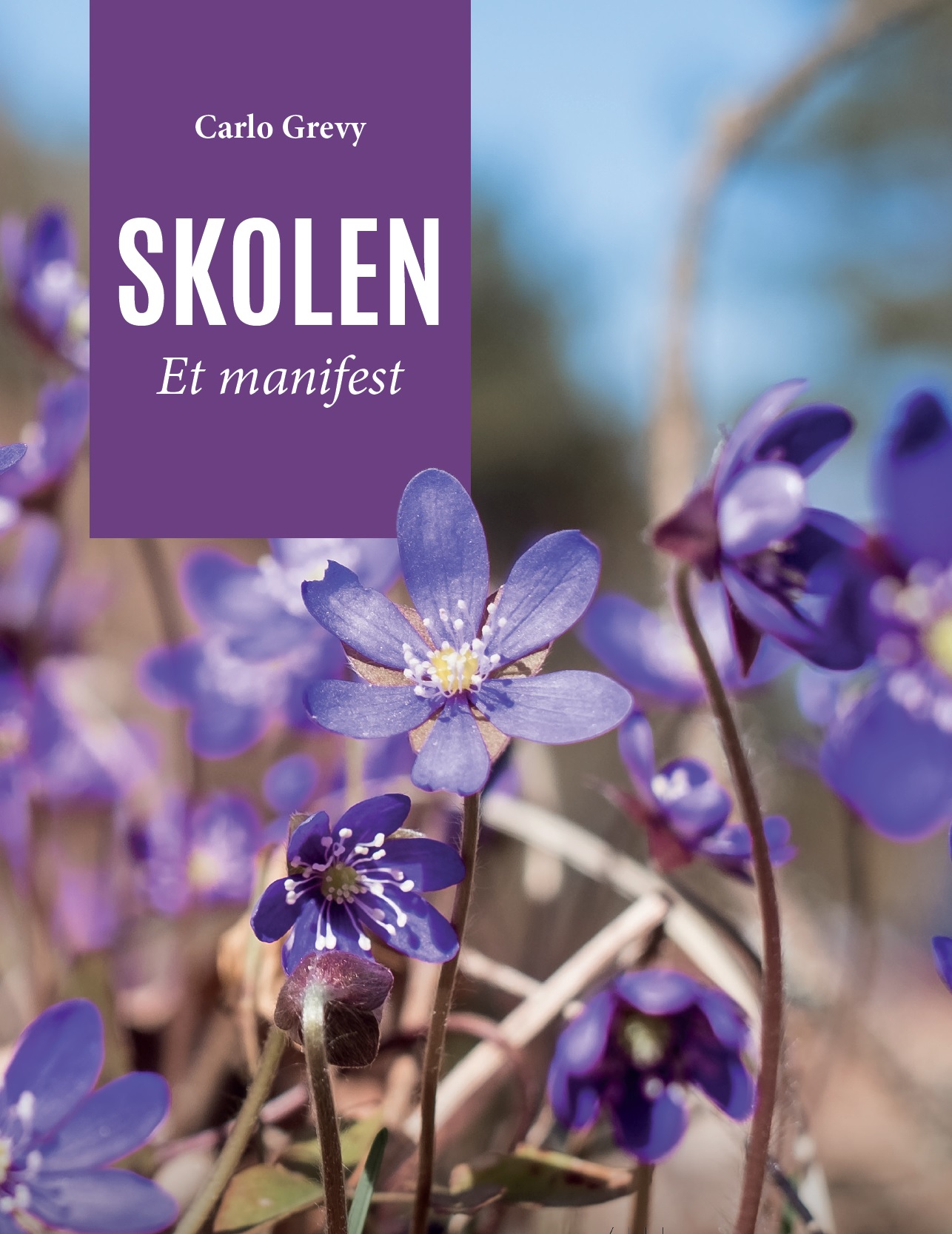 Skolen – et manifest